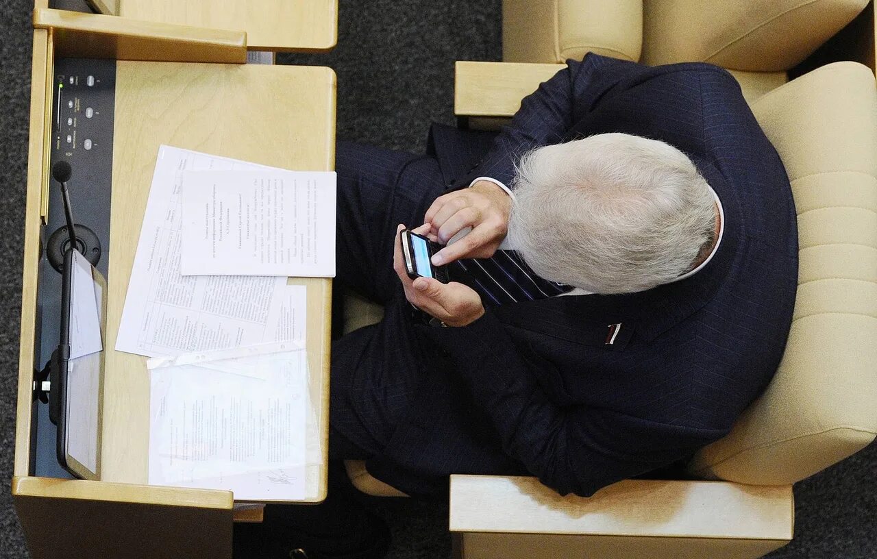 Госслужащий может быть самозанятым