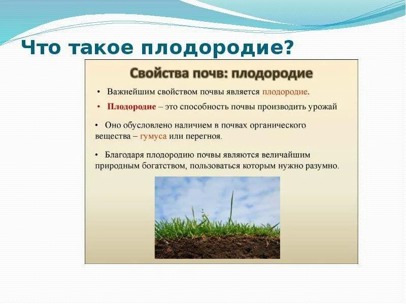 Почва плодородие почвы. Плодородие почвы определяется. Плодородие почвы презентация. Методы повышения плодородия почвы. Плодородие почв при движении к полюсам