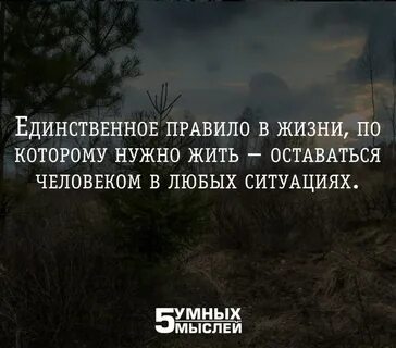 Единственное правило оставаться человеком