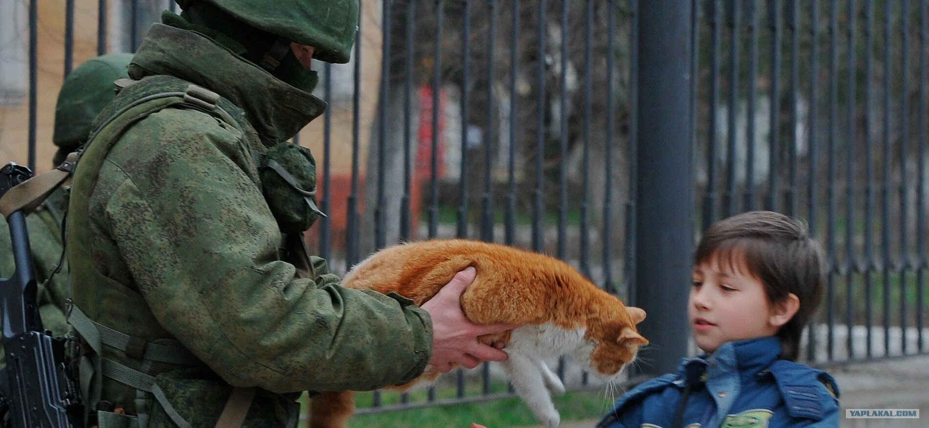 Вежливые люди. Вежливые люди с котом. Вежливые люди с котенком. Солдат и кот вежливые люди. Вежливый гражданин