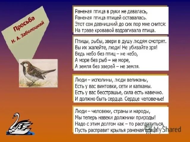 Слова песни раненая птица. Раненая птица в руки не давалась раненая птица птицей оставалась. Стих раненая птица. Слова песни раненая птица. Слова песни раненая птица.