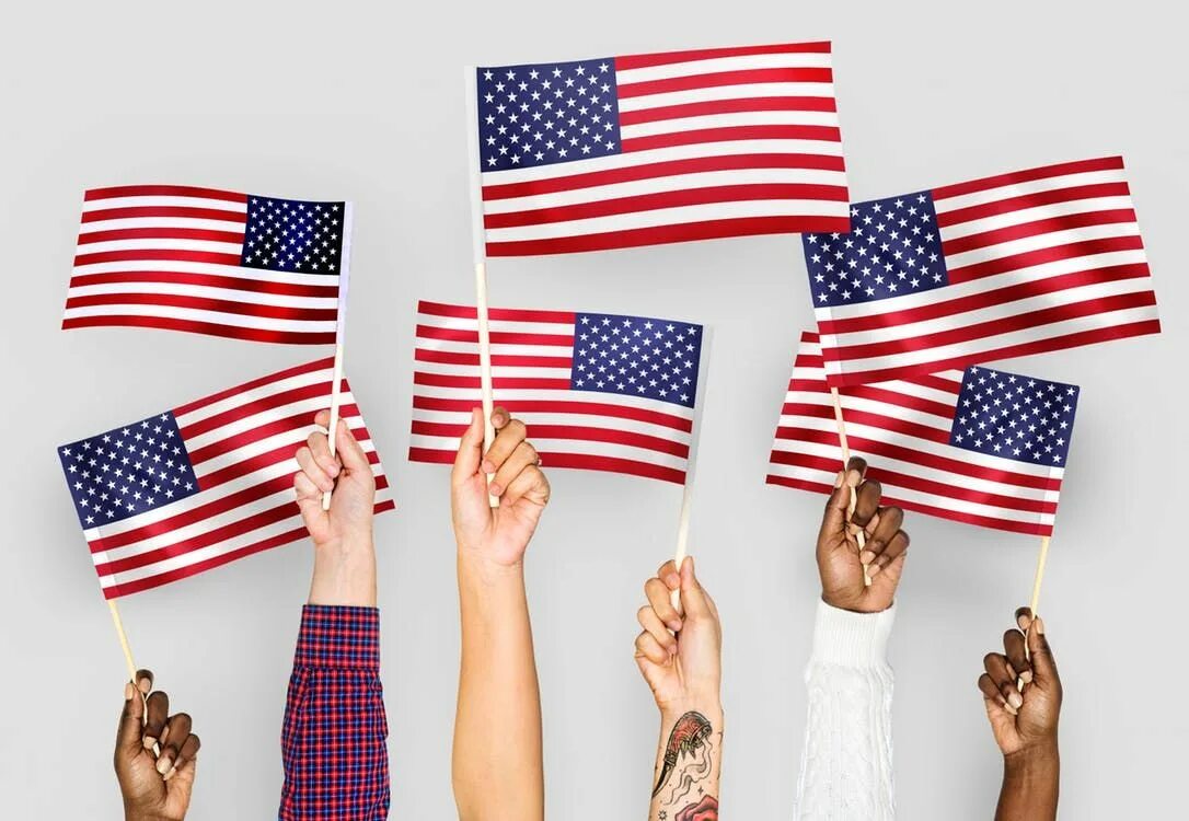 Америка сша. Флаг пуэрто рико сша. Образование в америке. Television in britain. Собака с американским флагом.