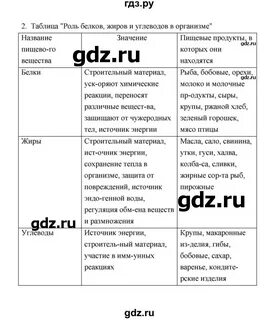 38 параграф 6 класс