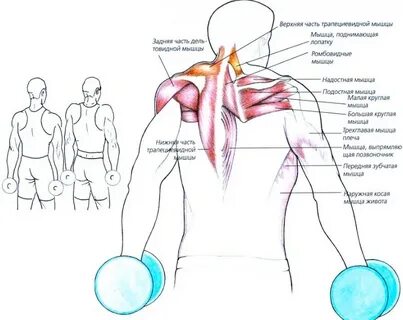 Болит плечо упражнения