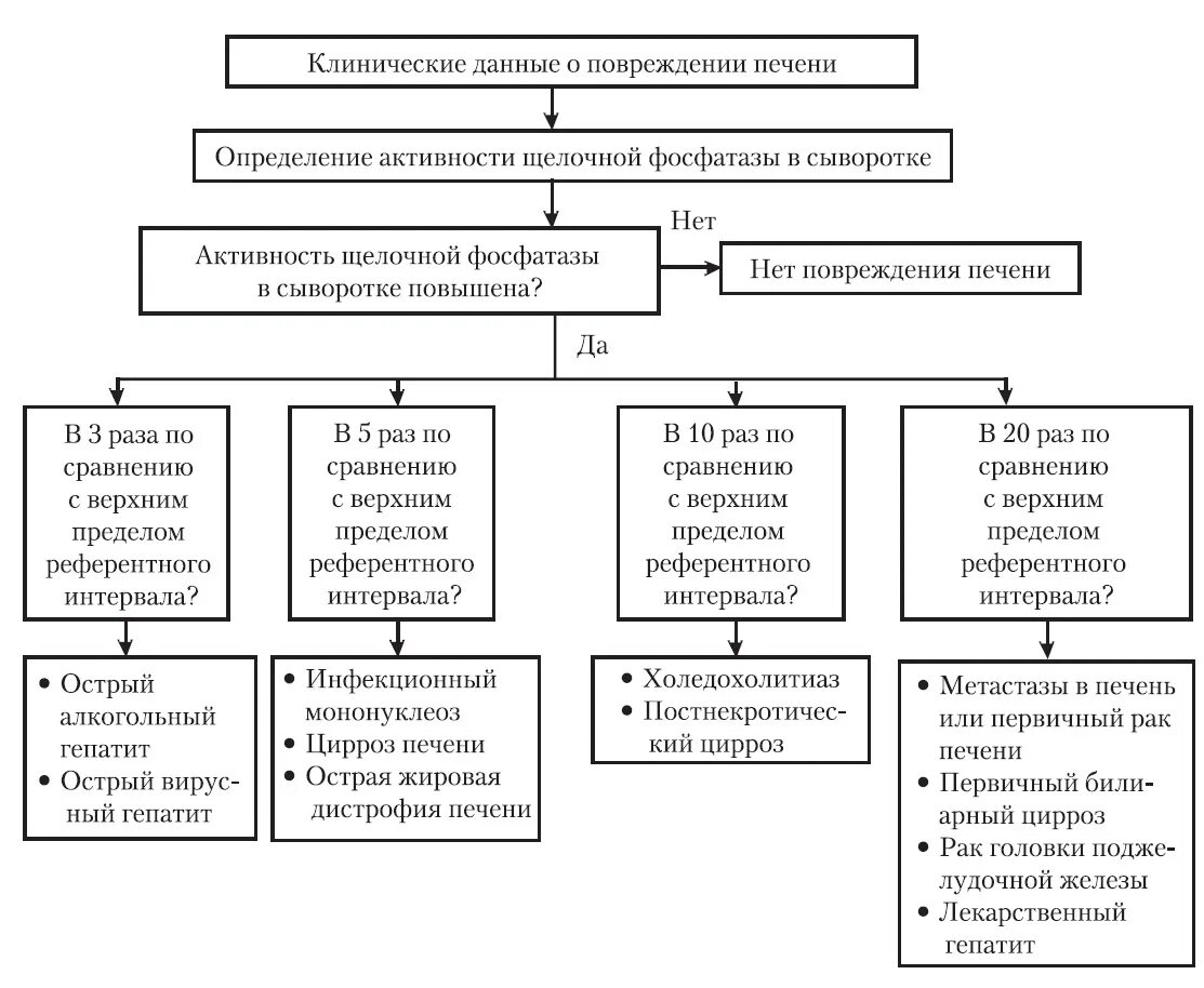 Почему повышена щелочная. Щелочная фосфатаза ЩФ повышение. Повышение щелочной фосфат. Причины повышения щелочной фосфатазы. Повышение щелочной фосфатазы в крови.