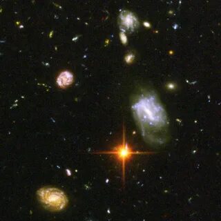 Бесчисленные золотые звезды казалось
