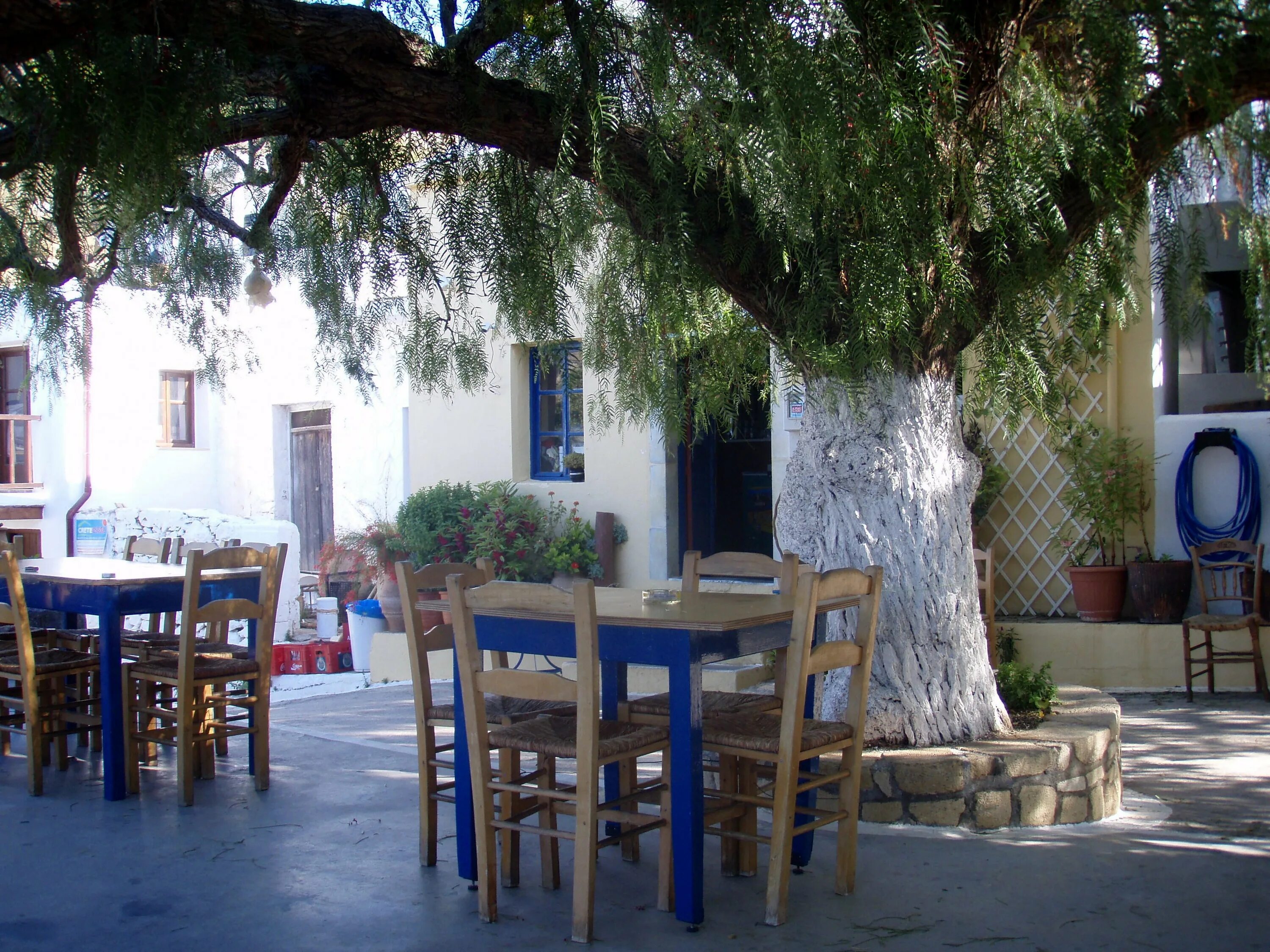 Ilios greek taverna красная. Крит таверны. Скопелос. Крит бело-голубые таверны. Ilios greek taverna красная.