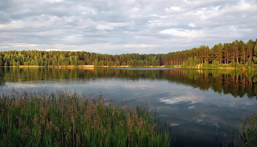 Луховицы голубых озерах. Луховицы Московская область голубые озера. Голубые озера Московская область Луховицкий район. Пляж голубые озера Луховицы. Голубые озера Луховицы 2023.