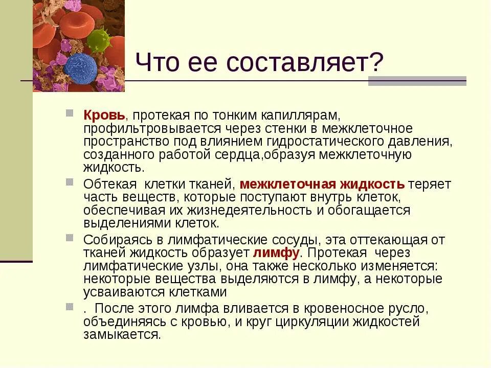 Дополнительная информация по биологии. Презентация на тему кровь. кровь презентация по биологии. состав и функции крови.