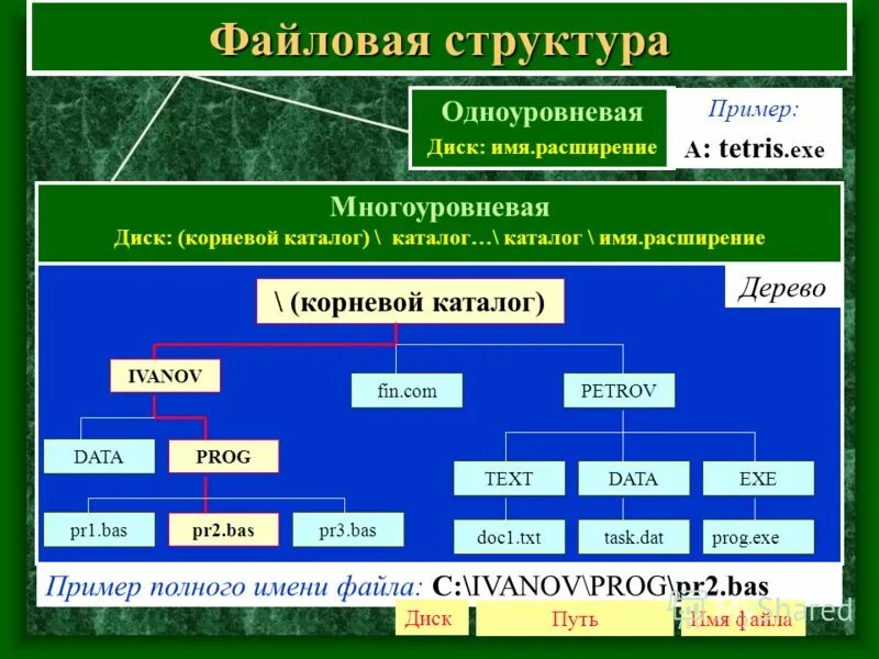Имя каталога пример. Структура файла в информатике. Имя каталога пример. Имя каталога в информатике. Файловая структура пример.