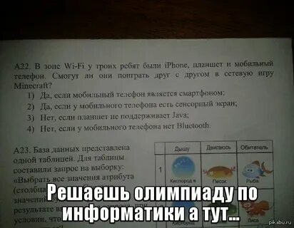 Как понять информатику