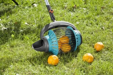 Gardening 20