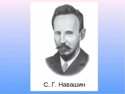 Сообщение о жизни и научной деятельности навашина