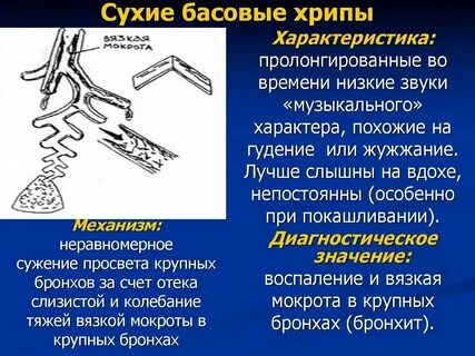 Кашель с мокротой хрипы при выдохе