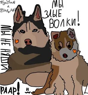 Хаски бандит хаски бубликов кекс