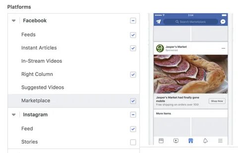 Search feed