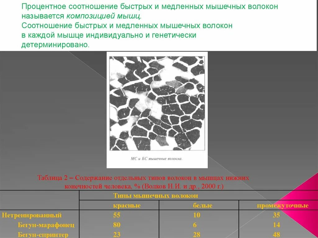 Заполните таблицу виды мышечных волокон медленные быстрые. Соотношение быстрых и медленных мышечных волокон. соотношение медленных и быстрых волокон в мышцах. быстрые и медленные мышечные волокна таблица. соотношение быстрых и медленных мышечных волокон в разных мышцах.