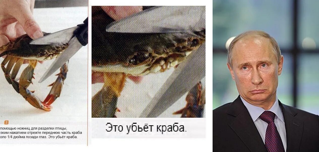 Крокодилинг это