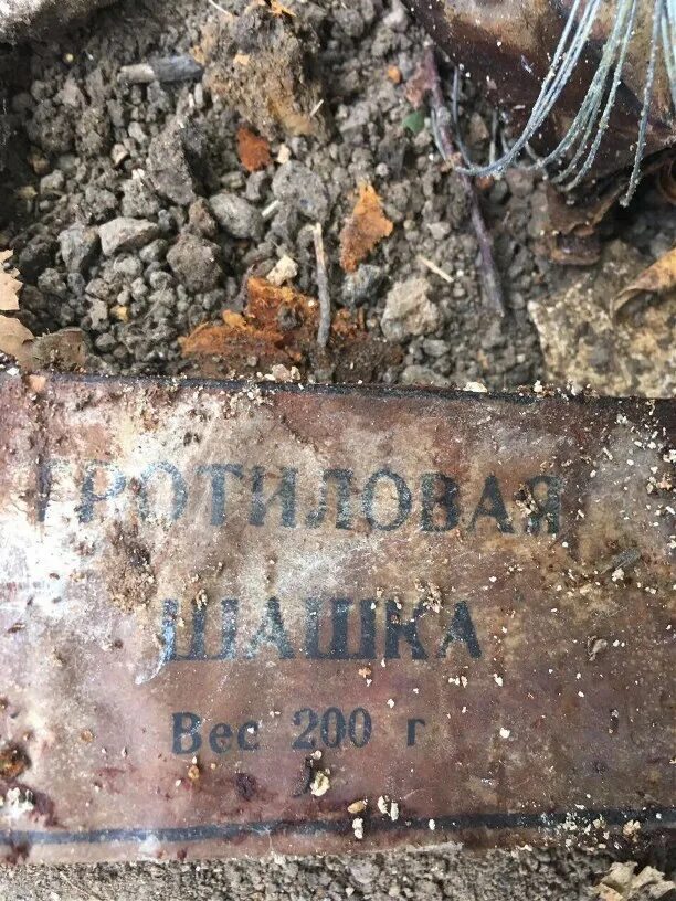 Найдено в туле