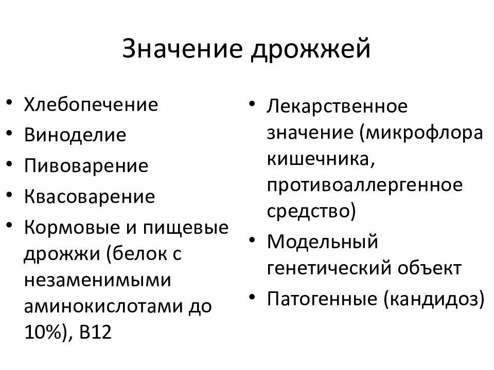 Значение дрожжей. Роль дрожжевых грибов в жизни человека. Дрожжи одноклеточные грибы 5 класс. Значение плесневых грибов в природе. Значение дрожжевых грибов.