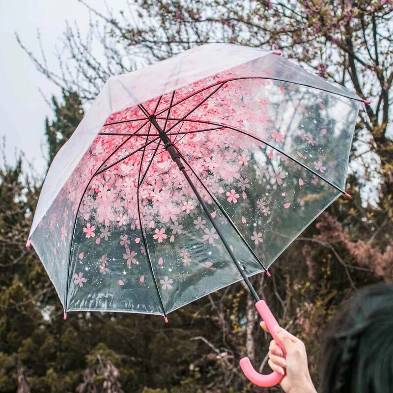 Зонтик. Красивый зонт. Прозрачный зонтик. Зонт прозрачный. Какие зонтики лучше