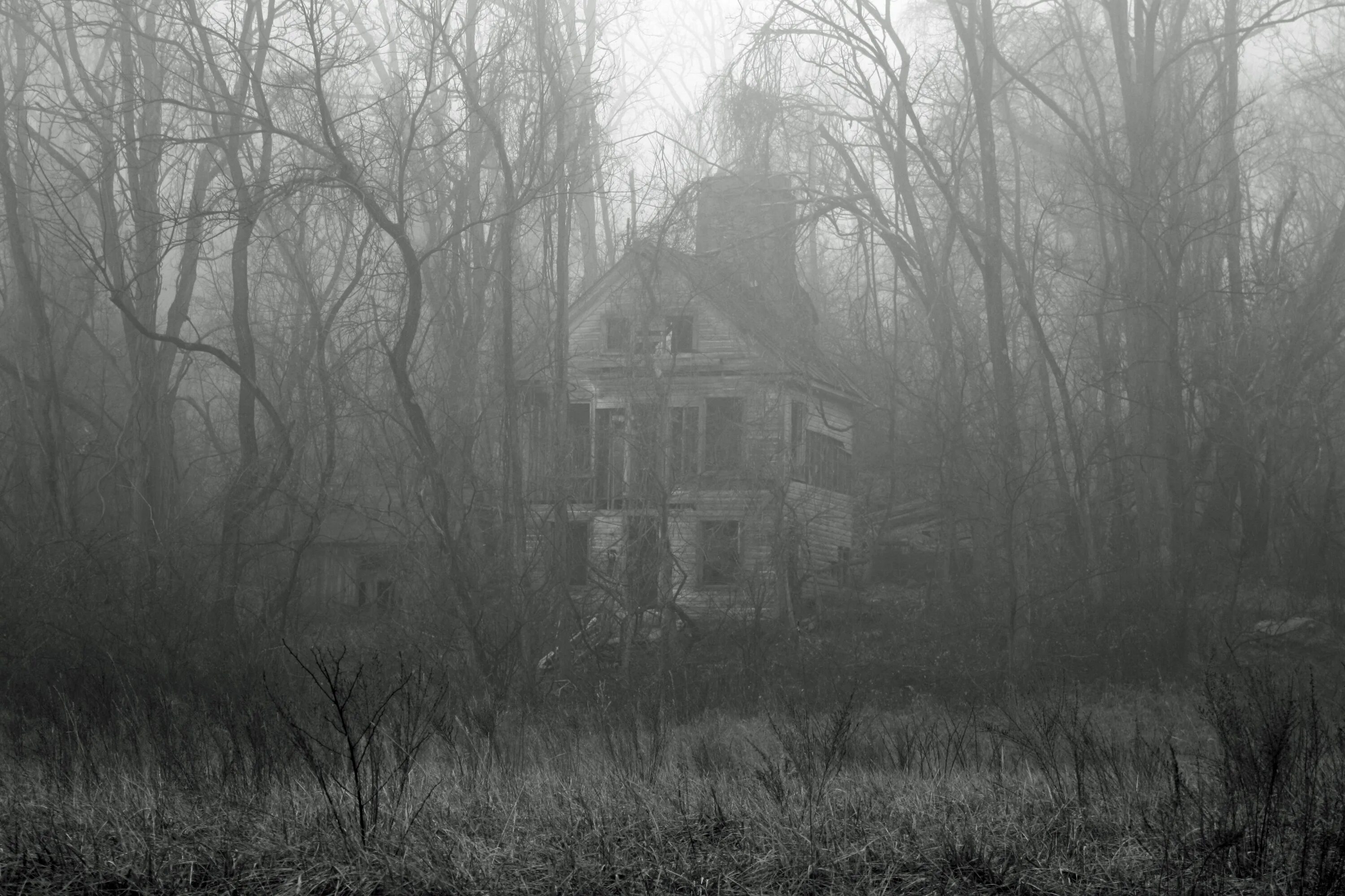 Мрачное место. Заброшенные места. Заброшенный дом в тумане. Окутанный мрачным