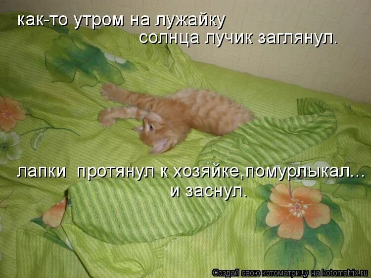 открытка солнышко. солнечные лучи в комнате. счастье в ладошках. заглянул лучик солнца. солнце в руках.