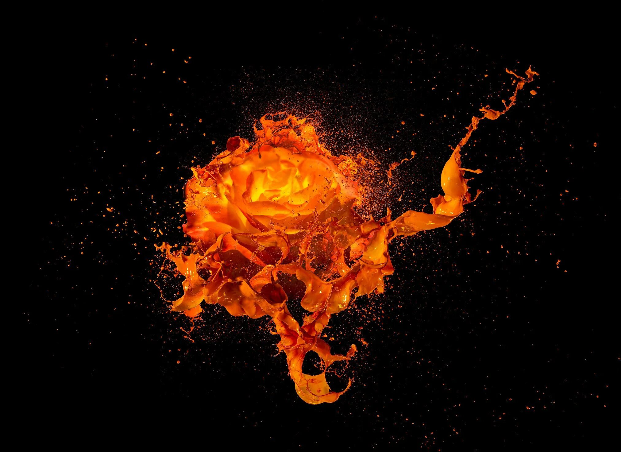 Аниме вода. Легендарный деспотизм вов. Всплеск чар. Кирилл роландо (cyril rolando). Всплеск чар.