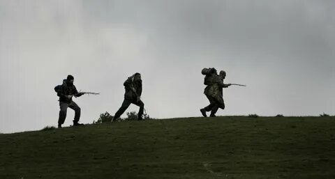 Four lions