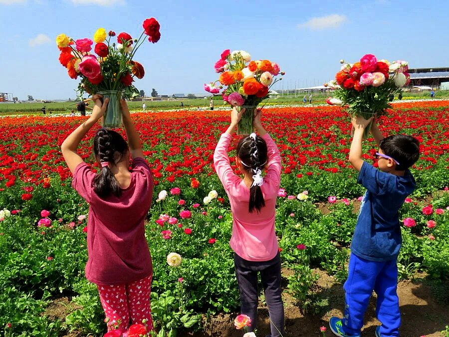 Садовник-цветовод. Комнатные растения для детей. Все мои подруги выращивают цветы. Девушка сажает цветы. Сажать цветы.