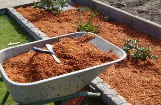 Можно ли использовать опилки