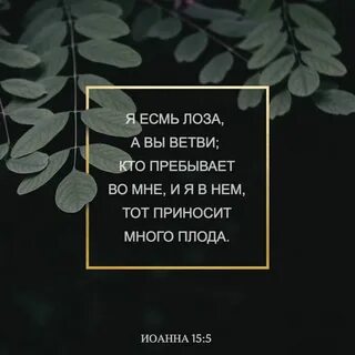 Ибо без