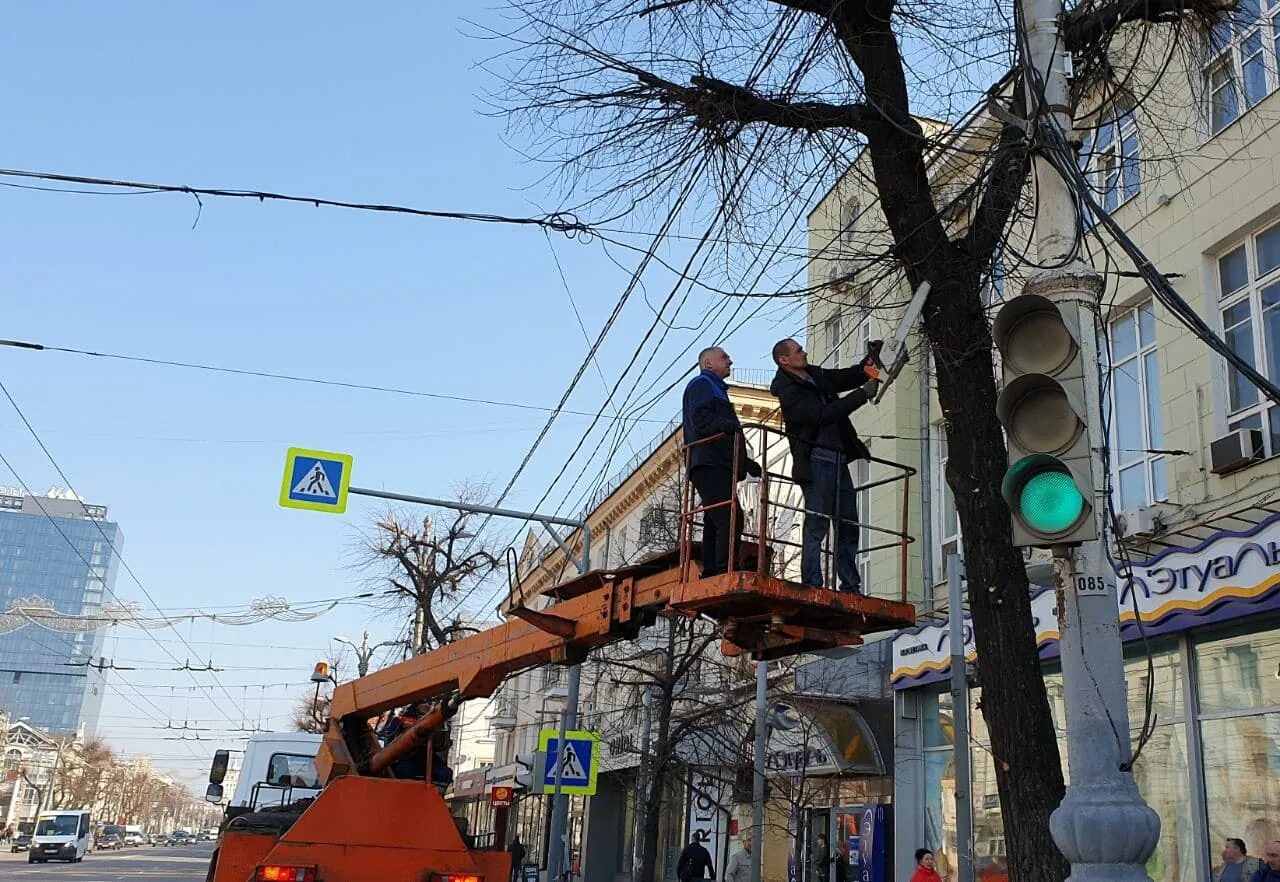 Спил деревьев воронеж. Спиливание деревьев воронеж. деревья в воронеже. воронеж проспект революции до вырубки деревьев. аварийное дерево фото.