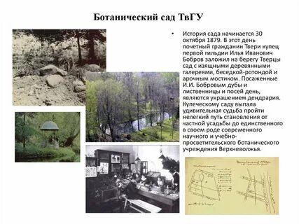 Рассказ сад