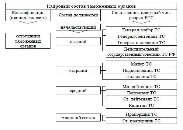 Основные группы служащих. Кадровый состав таможенных органов России. Категории лиц кадрового состава таможенных органах. Состав и структура кадров таможенных органов Российской Федерации.. Иерархия должностей в таможенной службе РФ.