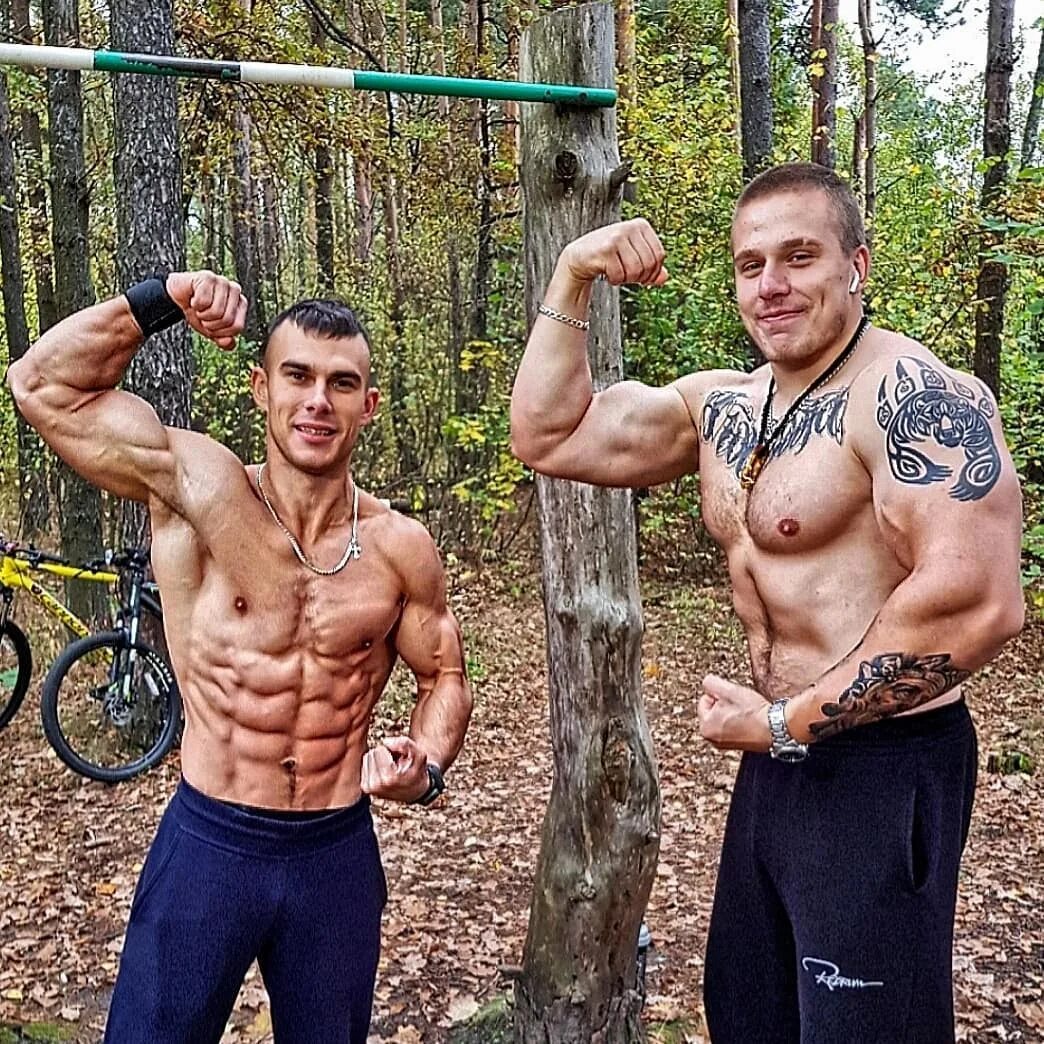 Программа лось. Программа лось