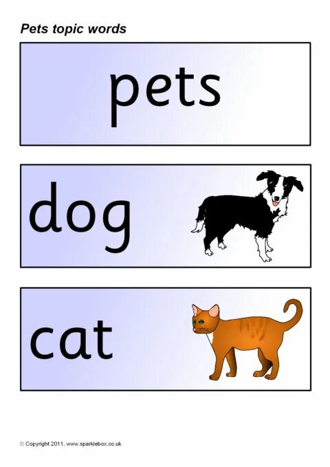 Pets Words. Cat and Dog Flashcards. Pets topic. Pets Flashcards. Type of pet