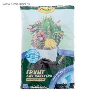 Фаско для кактусов