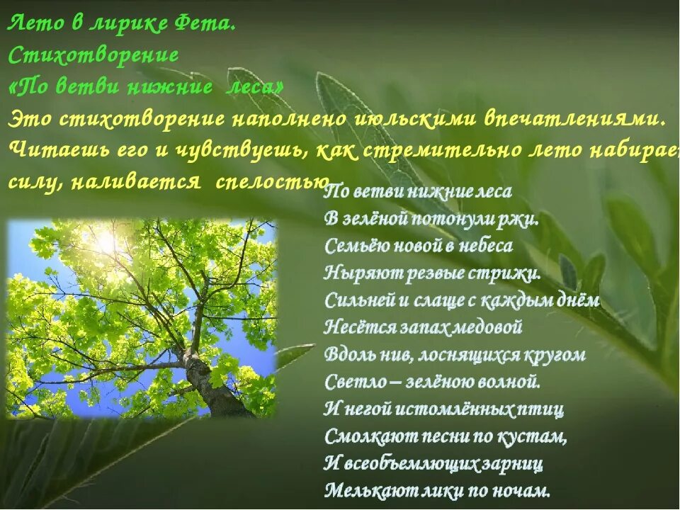 Названия стихотворений фета. Стихи о природе. Лирические стихи о природе. Стих на тему природа. Родная природа в русской поэзии.