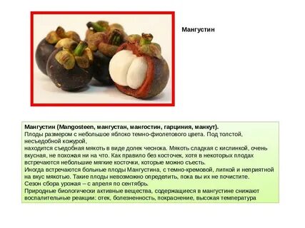 Мангустин фрукт польза