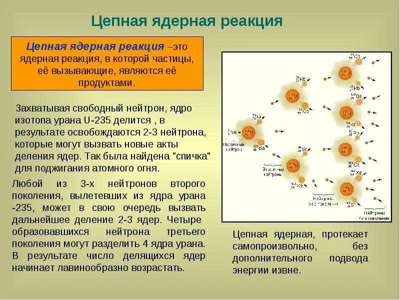 Изотоп u 235. Цепная ядерная реакция деления. . Ядерные реакции. Цепная ядерная реакция. Кратко. Механизм протекания цепной ядерной реакции. Схема развития цепной реакции деления ядер урана.