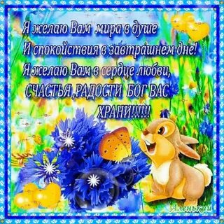 Видео короткое с пожеланиями