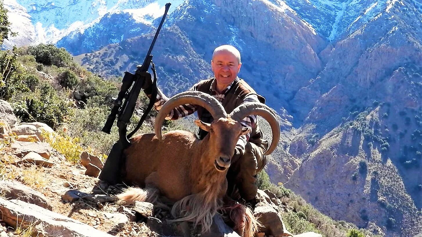 Sedev avci. охота в марокко. охота в марокко. эжен делакруа львиная охота в марокко. эжен делакруа охота на львов.