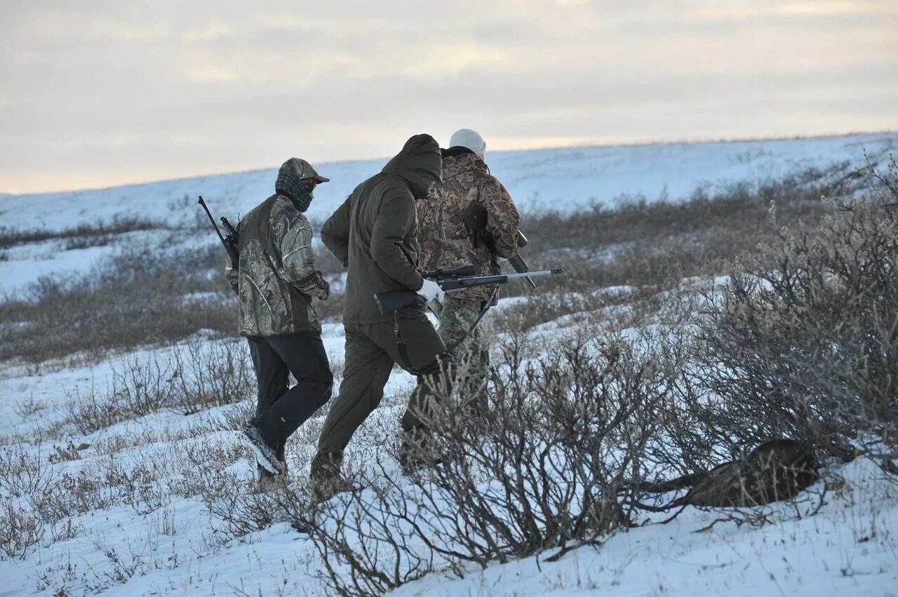 Более охотно. Доброй охоты. Охота на оленей Ставрополь. Охота пуще неволи картинки.
