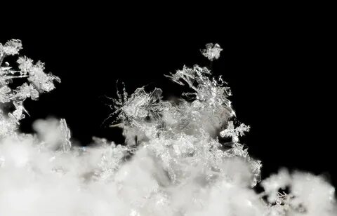 Snow 6