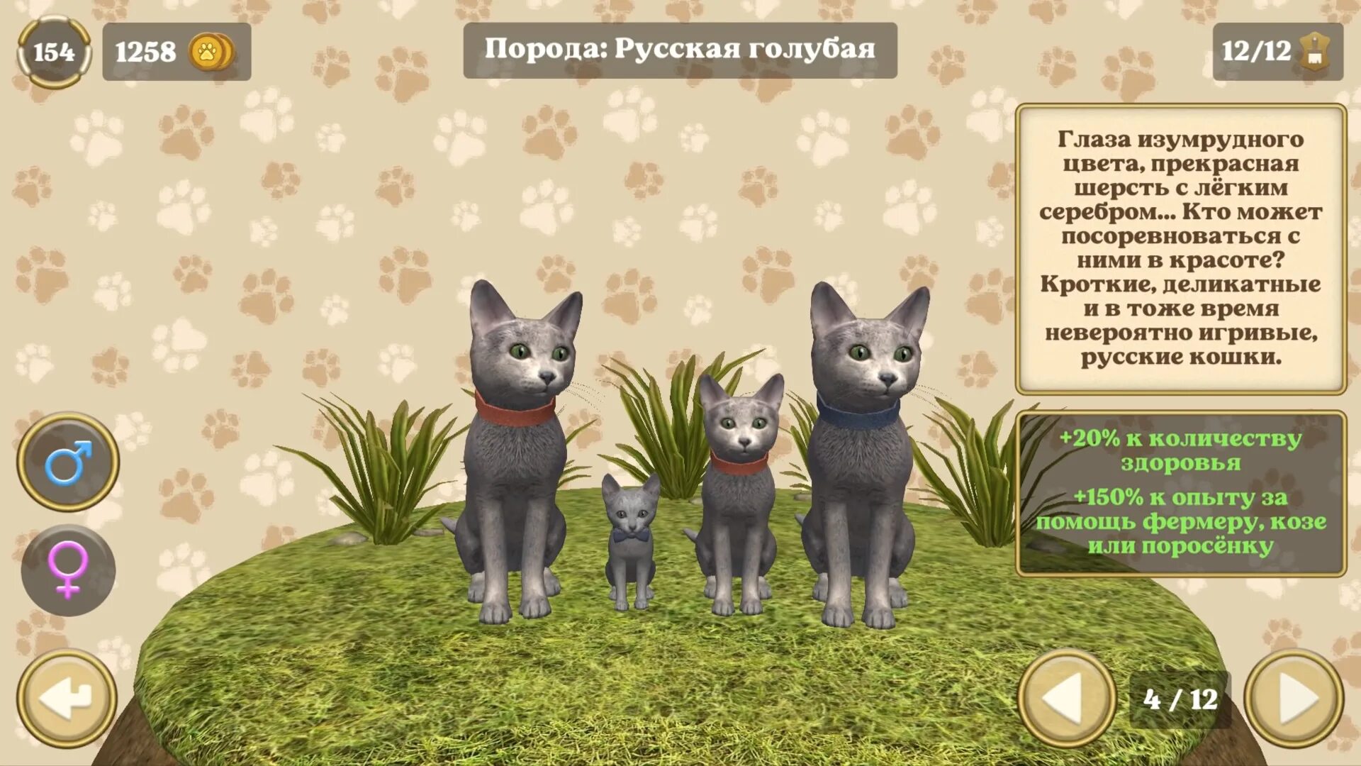 Много денег симулятор кота. Симулятор кота жизнь животных. Симулятор котика взломанная версия. Симулятор кота и кошки мод много денег. Симулятор кота жизнь животных.