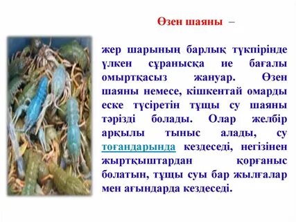 Жылтыр колготки порно фотосуреттер