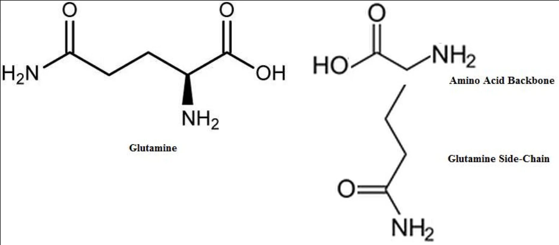 L amino acid. Glutamine amino acid. глутамин формула аминокислота. глютамин аминокислота формула. l-глутамин формула.