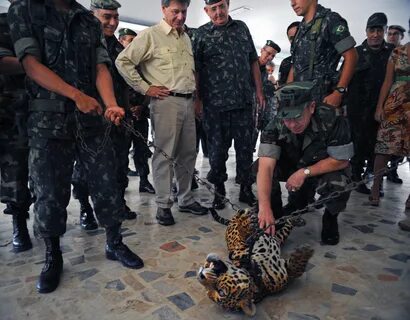 Эквадор картели