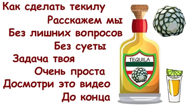 Текила из самогона. Самогон из Агавы. Кактусовый самогон. Самогон из кактуса. Агава текила как делают.